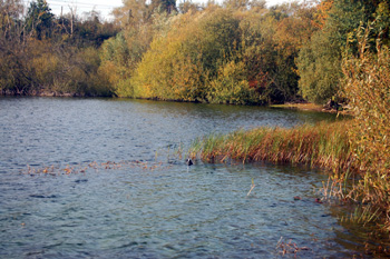 At Tiddenfoot Waterside Park October 2008